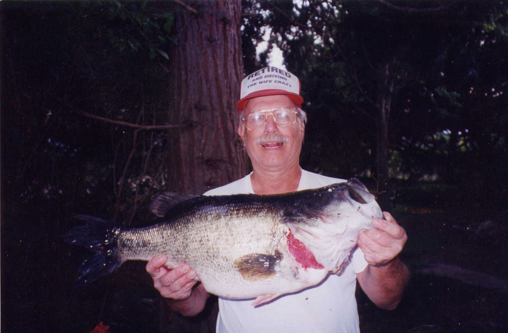 dicksbass.jpg
